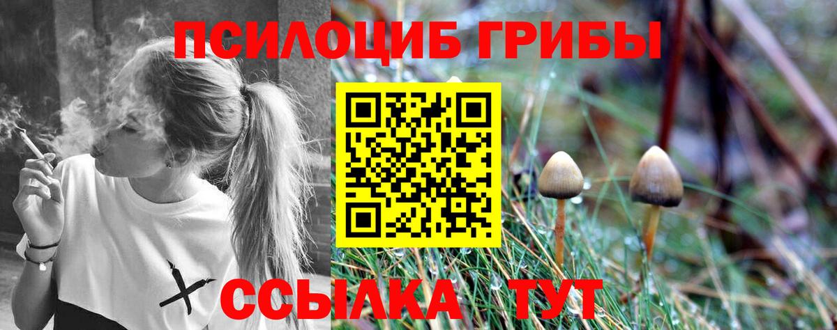 Галлюциногенные грибы Cubensis  Вход с VPN  Самара 